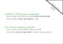 한국에서의 저작권법에 대한 인식 변화(Copyleft운동 사례를 중심으로),저작권법,현행저작권법,초창기저작권법,Copyleft,CCL,해적당 16페이지