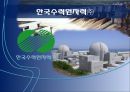 한국수력원자력,한국수력원자력기업분석,한국수력원자력경영전략,한수원,한수원기업분석 1페이지