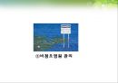 환경과건강,미국의환경사업,일본의한경사업,한국의환경사업,환경사업 29페이지