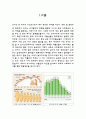 우리나라의 저출산 문제와 그 해결방안 2페이지
