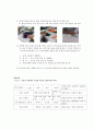 실험 식물성 색소의 색과 텍스춰 변화 2페이지