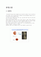 요로결석 2페이지