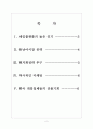 [카카오톡]카카오톡의 성장과 해외시장 진출전략 보고서 2페이지
