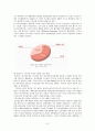 [환경]음식물 쓰레기 처리문제와 해결방안 7페이지