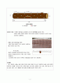 버섯학 표고 레포트1 2페이지