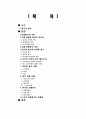 다국적 광고의 국제적 유통  2페이지