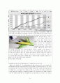 환경과 위험(쓰나미, 신생에너지, 지구온난화, 유전자변형식품) 보고서 24페이지