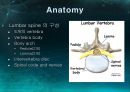 미세현미경 디스크제거술(Micro lumbar discectomy)PPT 4페이지