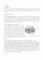 응급실 케이스 - 뇌출혈(지주막하출혈) 2페이지