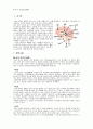 (A-SDH) 급성 경막하출혈 NSICU 케이스 [A - SDH (Acute - subdural hemorrhage)] 2페이지