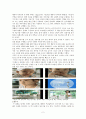 [디자인과 문화생활] 행동적 디자인의 정의 & 사례 2페이지