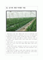 [농업문제] 세계 각국의 농업정책 문제점과 한국농업의 발전방향 보고서 5페이지