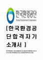 [한국환경공단-최신공채합격자기소개서] 한국환경공단자소서,자기소개서,한국환경공단자소서,환경공단합격자기소개서 1페이지