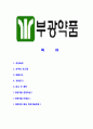 [부광약품-최신공채합격자기소개서] 부광약품자소서,부광약품자기소개서,부광약품자소서,부광약품자기소개서,부광약품자소서,부광약품,부광,약품 2페이지