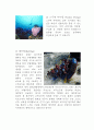  수상스포츠란 2페이지