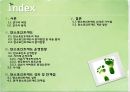 탄소포인트제도 (A+ PPT) 2페이지