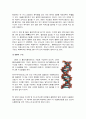 [일반생물학] DNA 모형 만들기 2페이지