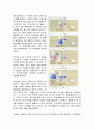 [일반생물학] DNA 모형 만들기 4페이지