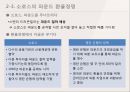 외환관리론_환율전쟁,일본, 잃어버린 10년 19페이지
