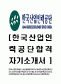 [한국산업인력공단-최신공채합격자기소개서]한국산업인력공단자소서,한국산업인력공단자기소개서,한국산업인력공단,산업인력공단자기소개서,산업인력공단자소서,산업인력공단 1페이지