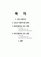 해외직접투자 -  해외직접투자성공, 해외직접투자실패, 현대자동차, 현대자동차인도진출, 대우자동차인도진출,인도진출사례 2페이지