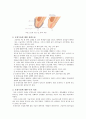 [성의 이해] 포경수술에 관한 정의 및 찬반논란, 포경수술에 관한 나의 의견 2페이지