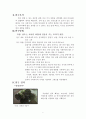 [생물학 실험] 상추실험 - 상추 치아 미백 실험 2페이지