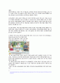 GS홈쇼핑의 마케팅,GS홈쇼핑경영전략사례,GS홈쇼핑의 소셜미디어마케팅,브랜드마케팅,서비스마케팅,글로벌경영,사례분석,swot,stp,4p 44페이지