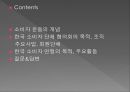 국내 소비자 운동 (소비자 운동의 개념, 한국 소비자 단체 협의회의 목적, 조직주요사업, 회원단체, 한국 소비자 연맹의 목적, 주요활동).PPT자료 2페이지