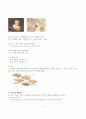 (아동수과학) 지구 관련 개념 (지구, 지구의모습, 지구움직임, 지구와달, 지구온난화, 지구보호) 2페이지