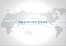 WTO 터키 섬유사건 14페이지