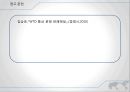 WTO 터키 섬유사건 28페이지