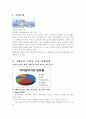 e-러닝 산업_크레듀기업분석,크레듀경영전략,브랜드마케팅,서비스마케팅,글로벌경영,사례분석,swot,stp,4p 2페이지