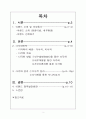 [이랜드다각화전략]인수합병,내부개발,이랜드경영,브랜드마케팅,서비스마케팅,글로벌경영,사례분석,swot,stp,4p 2페이지