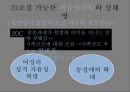 젠더gender_섹슈얼리티sexuality가족family-젠더와 성차, 성별 불평등,한국 사회의 결혼과 가족, 인구,젠더, 성역할, 성 정체성 23페이지