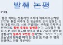 한국의전통_우리나라사례,한계와 비판 15페이지