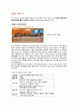 [사업계획서] 어플/앱 (카페 빈자리찾기 어플리케이션) 제작 및 개발 창업 사업계획서 34페이지
