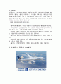 델타항공(Delta Air Lines) 기업 경영전략분석, 델타항공 기업분석, 델타항공 향후전망분석 (유나이티드항공, 대한항공 전략과 비교분석) 13페이지