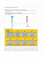 정보처리모델(CPM: Consumer Processing Model)의 개념과 단계를 설명하세요 2페이지