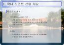 한국의 리조트 산업  3페이지