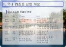 한국의 리조트 산업  8페이지