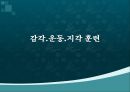 [특수교육] 치료활동 교육과정의 소개.pptx 31페이지