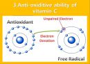 (영어,영문) Vitamin C and ability of antioxidan t (비타민C와 방부제기능).PPT자료 5페이지