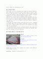 윈드서핑(wind surfing)  2페이지