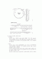 [미생물실험]  PURIFICATION OF PLASMID DNA(bacteria의 plasmid에 대해 알아보고 DNA의 구조에 의한 추출 원리를 이해) 2페이지