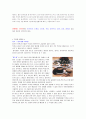 보양식  7페이지