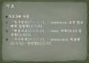 [한국문학개론]조선시대 전기 악장, 시조 - 조선 전기 시대의 배경과 시조 및 악장의 이해 10페이지