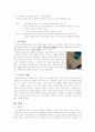 구매의사결정단계 5페이지