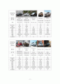 동풍자동차-DFM은 세계시장에서의 자동차 산업,브랜드마케팅,서비스마케팅,글로벌경영,사례분석,swot,stp,4p 11페이지