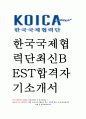 한국국제협력단 KOICA 최신 베스트 BEST 합격 자기소개서 자소서 1페이지